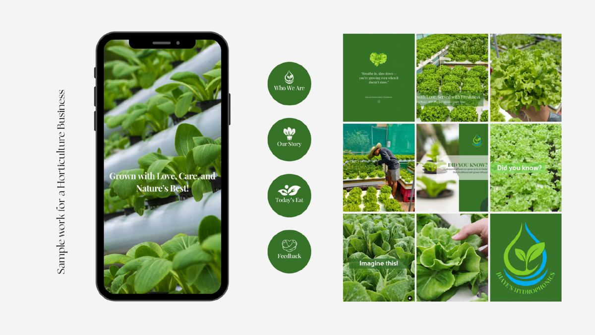 Jhaye's Hydroponics Instagram feed and highlight covers on a phone